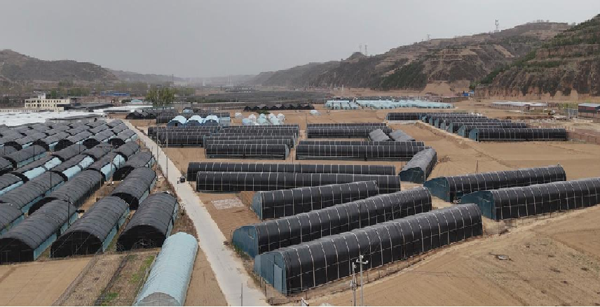 山西菌类大棚养殖采暖项目